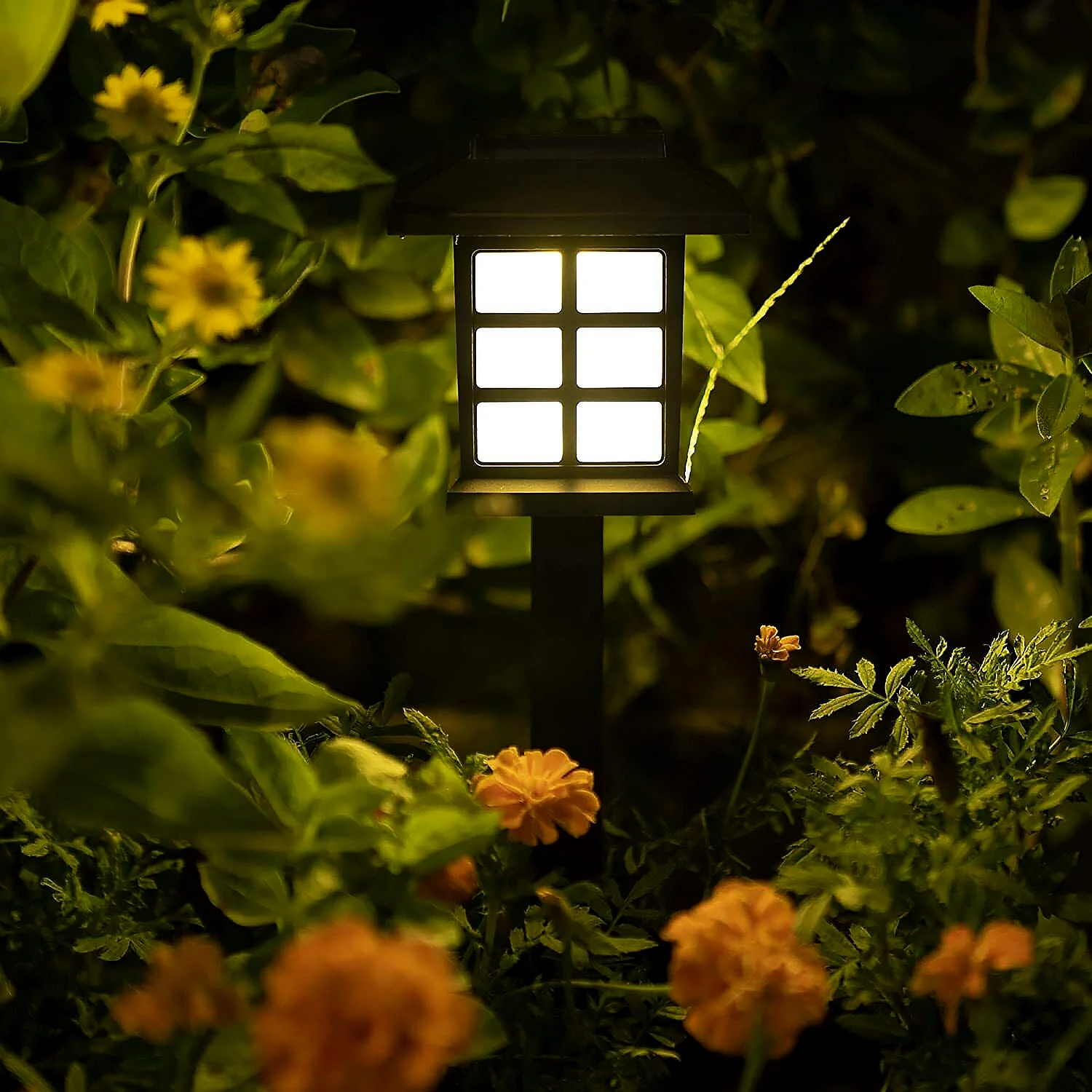 Solar Garden Lights – Waterproof Outdoor Landscape (2-Pack) | Garden Vera - Image 6