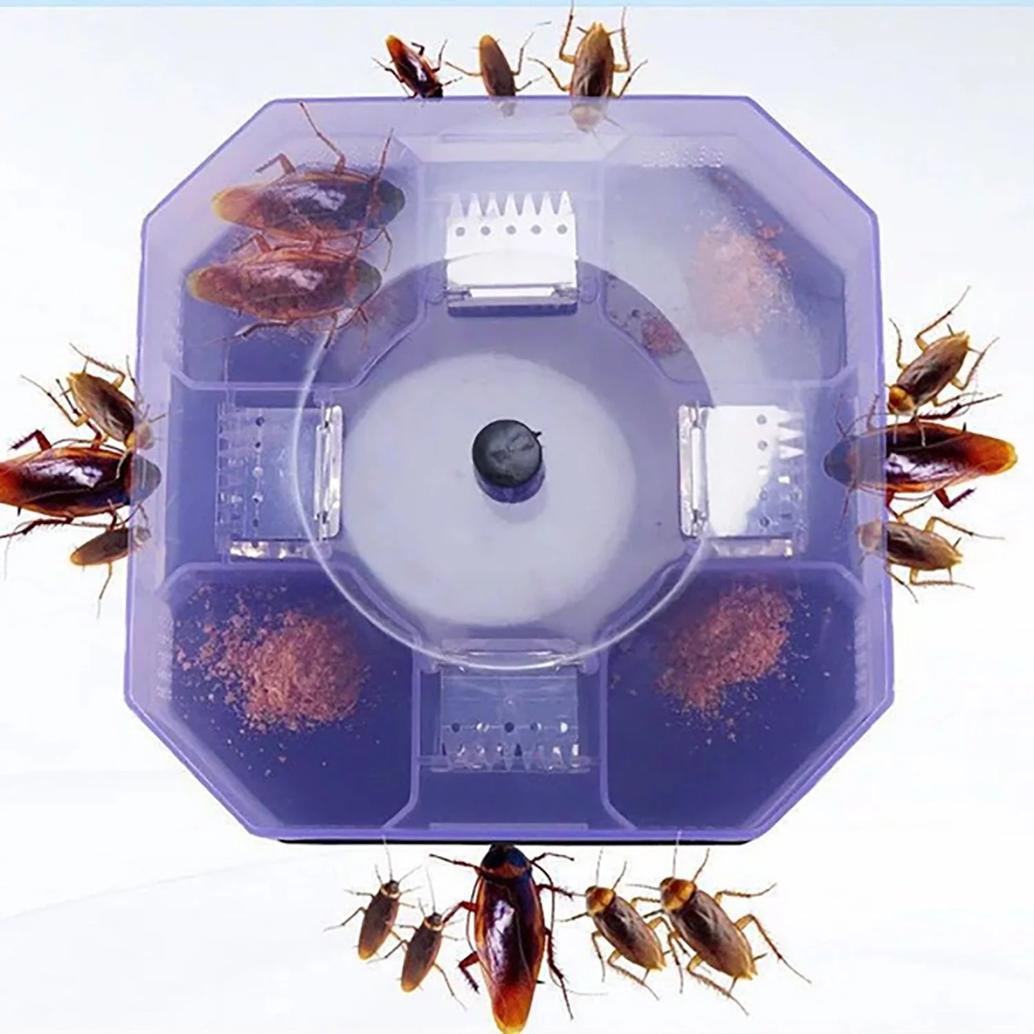 Cockroach Trap Box – Reusable Pest Killer for Home | Grow Vanta - Image 4