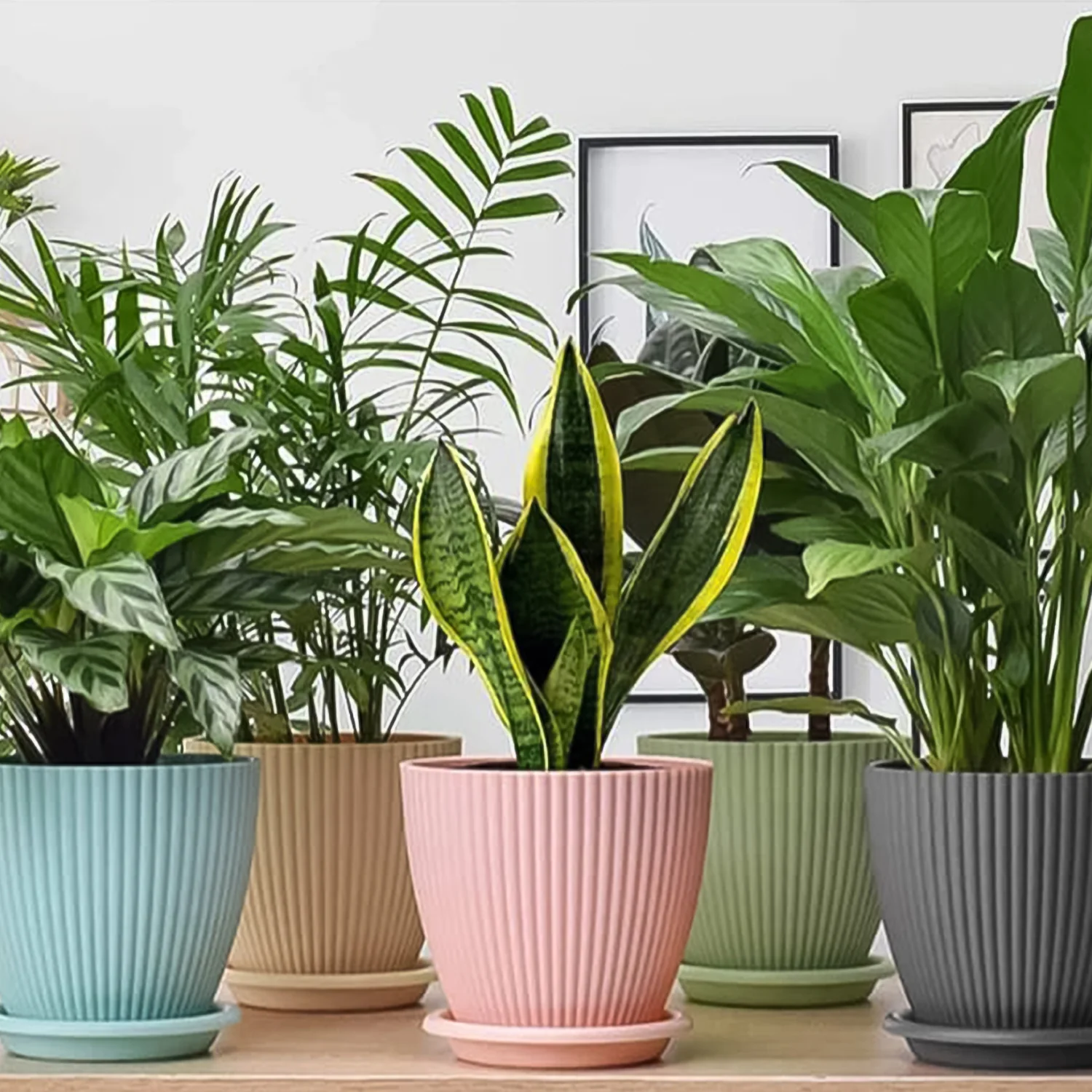 Plastic Flower Pot Set – 5 Durable Planters with Trays | Indo Glow - Image 6
