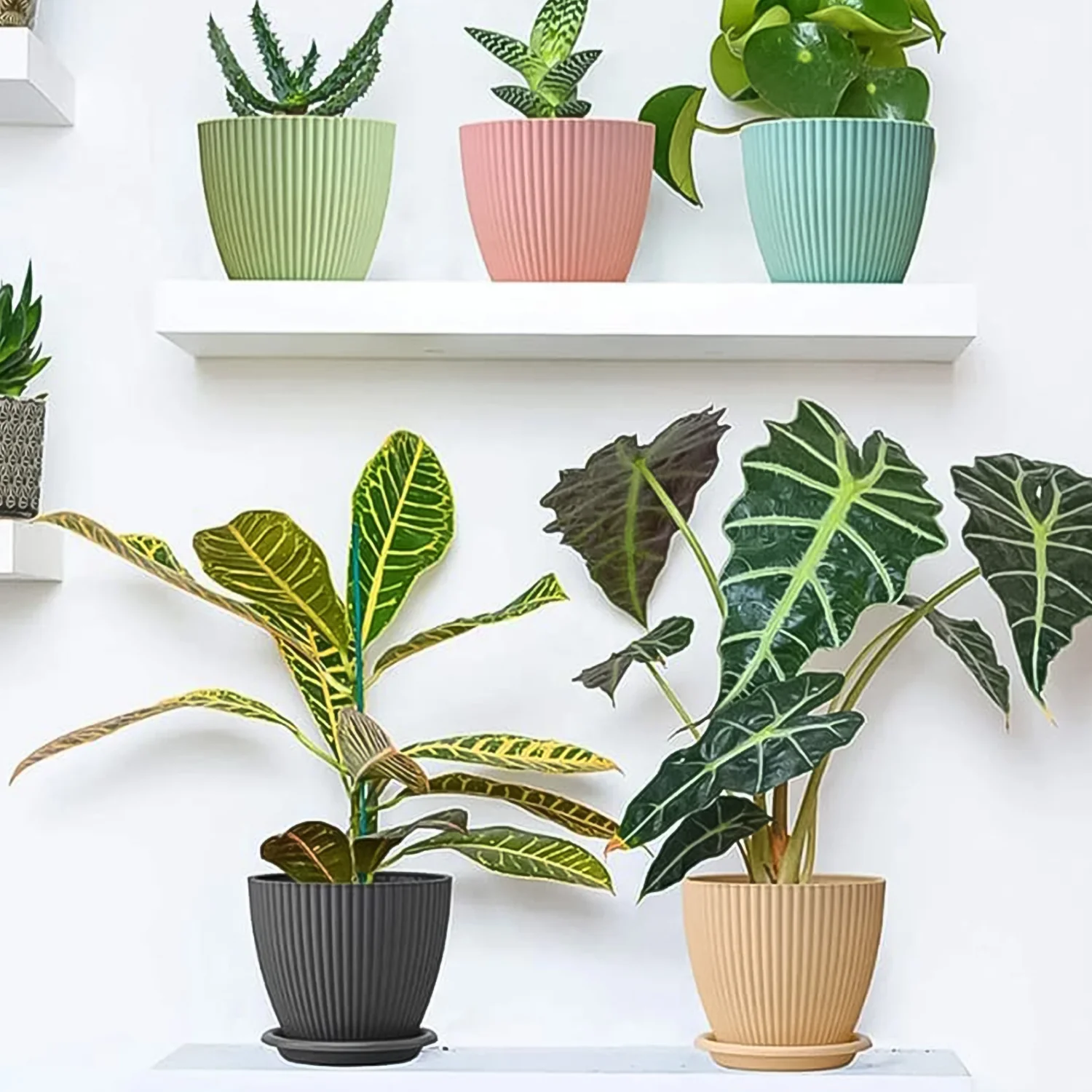 Plastic Flower Pot Set – 5 Durable Planters with Trays | Indo Glow - Image 7