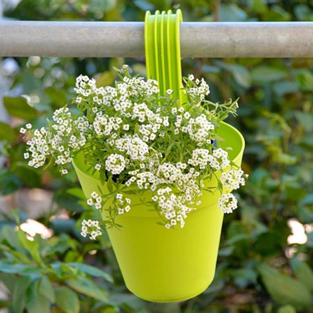 Hanging Planter Pot – Multicolour & UV Protected | DeoDap