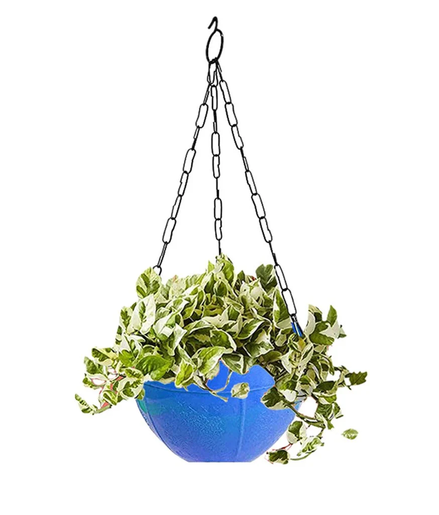 Hanging Flower Pot – Plastic with Chain for Balcony & Garden | Gambit - Image 4