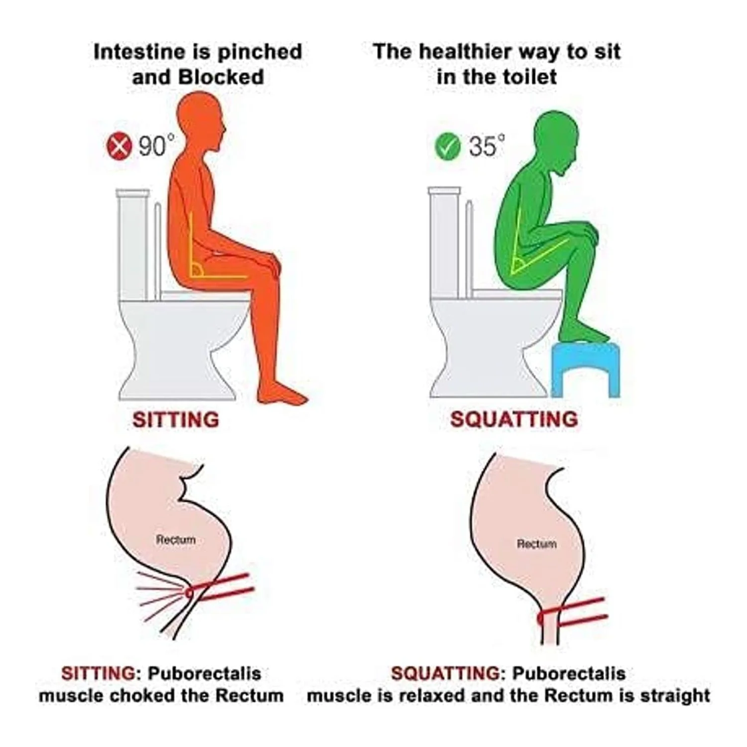 Toilet Squat Stool – Foldable, Non-Slip Bathroom Relief | storenzo - Image 8
