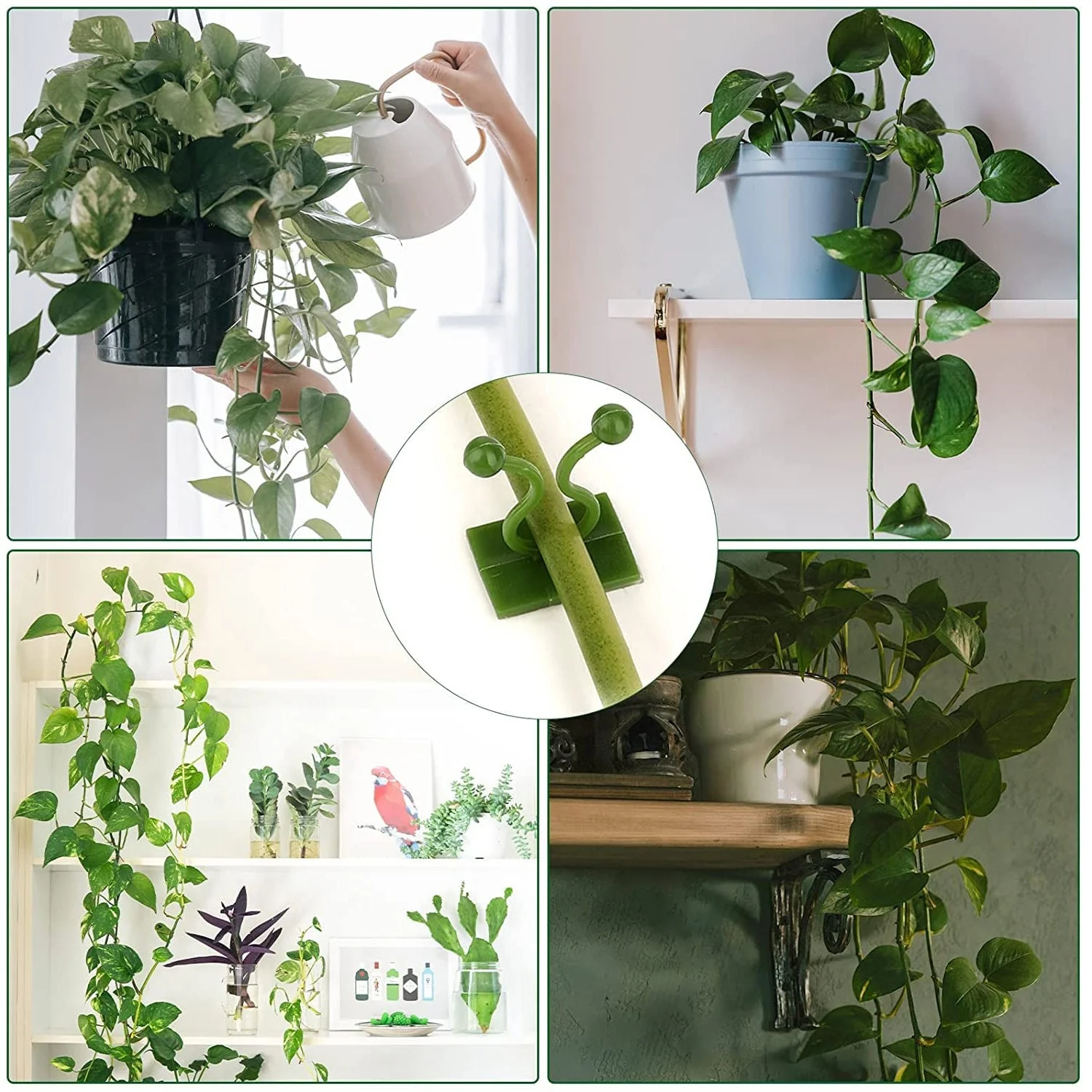 Wall Plant Clips – 30 Pcs Self-Adhesive Support | Deodap - Image 3