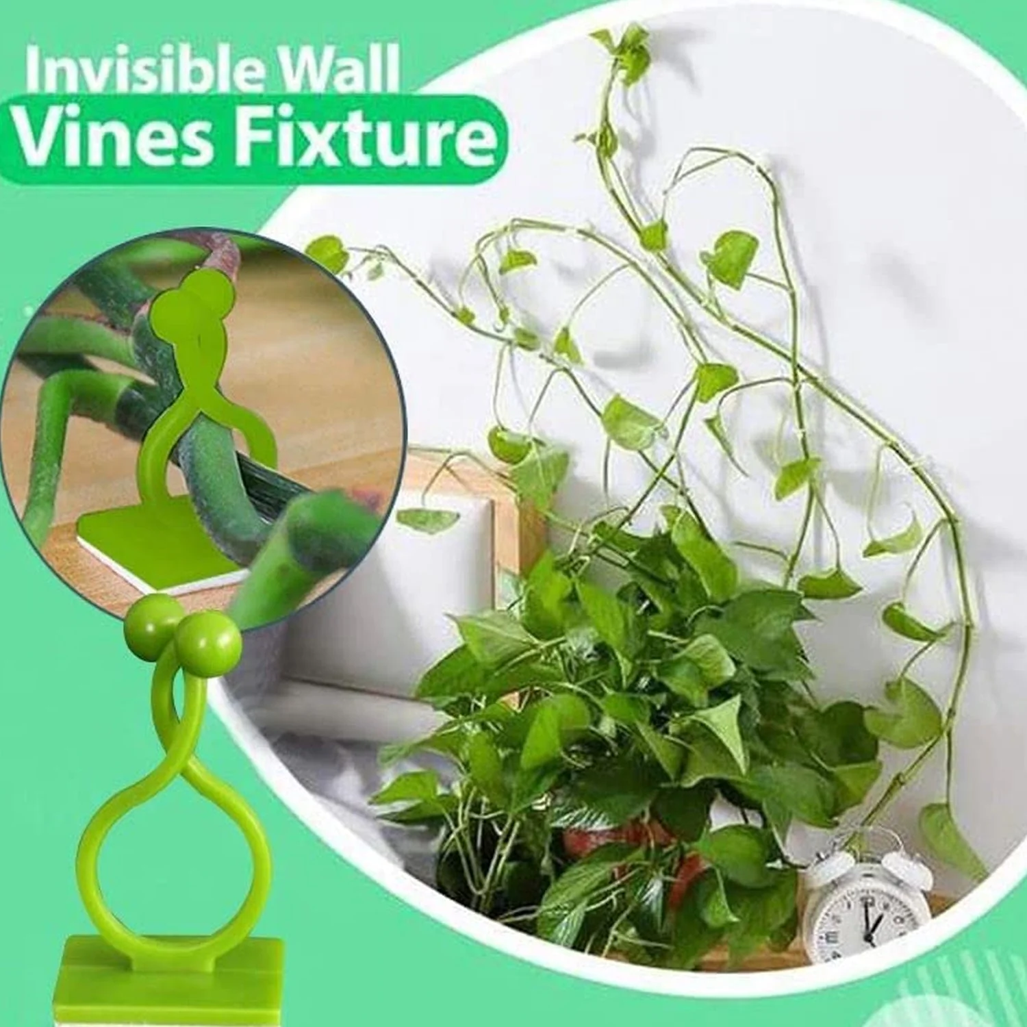 Wall Plant Clips – 30 Pcs Self-Adhesive Support | Deodap - Image 7