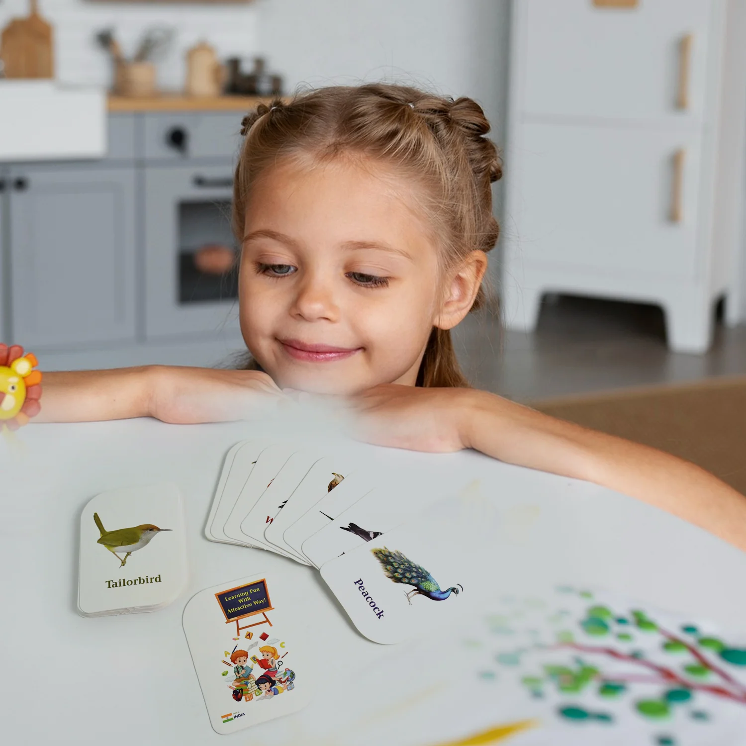 Early Learner Flashcard Set – 224 Durable Educational Cards - Image 6