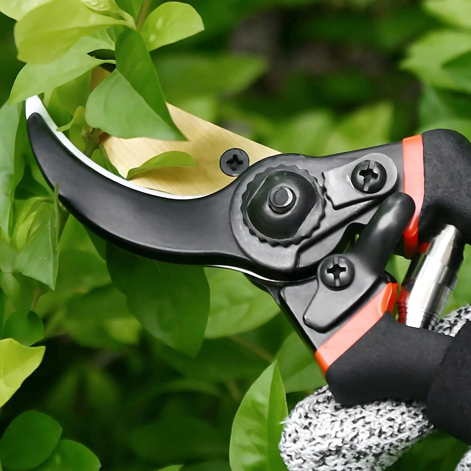 Garden Shears – Sharp Bypass Pruner for Plants | Tidy Roots - Image 8