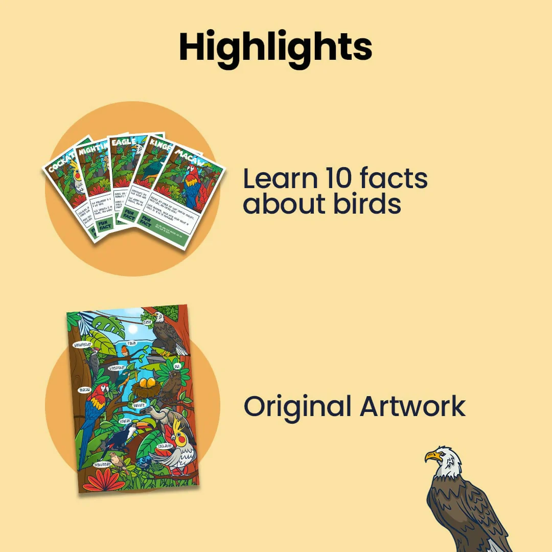 Bird Mystery Puzzle for Kids – Educational & Fun Rainforest Theme - Image 8