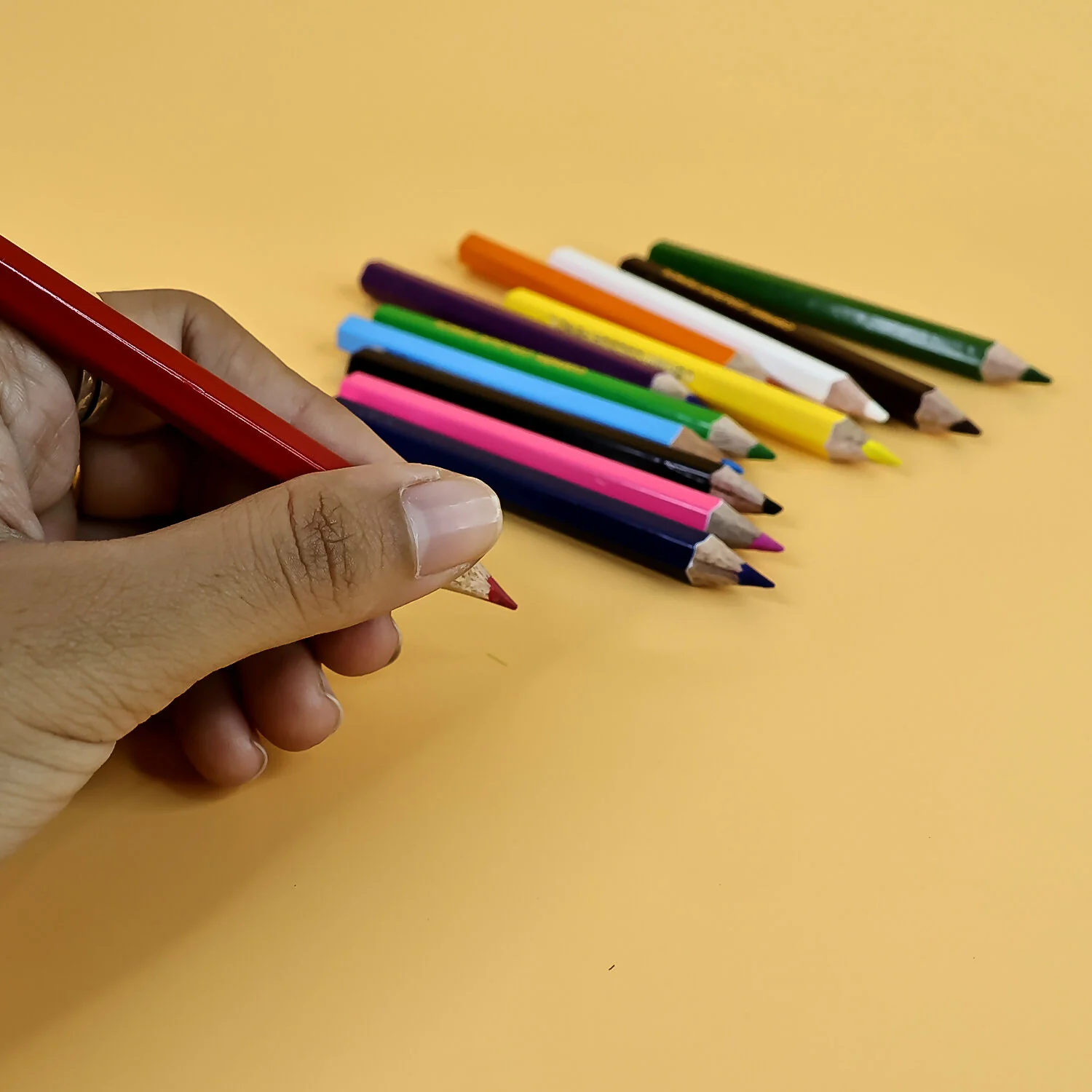 Camlin Colour Pencils – 12 Bright Shades with Smooth Blending & Free Sharpener - Image 3