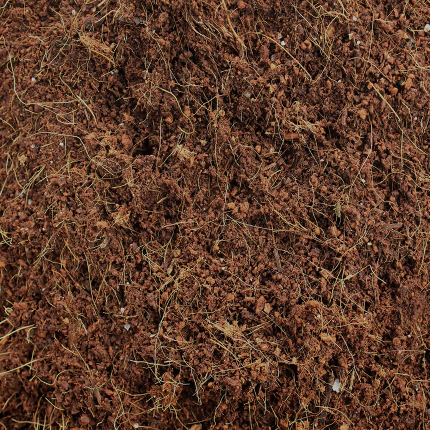 Organic Cocopeat Block – 1 KG Potting Mix for Plants | Styleva - Image 6