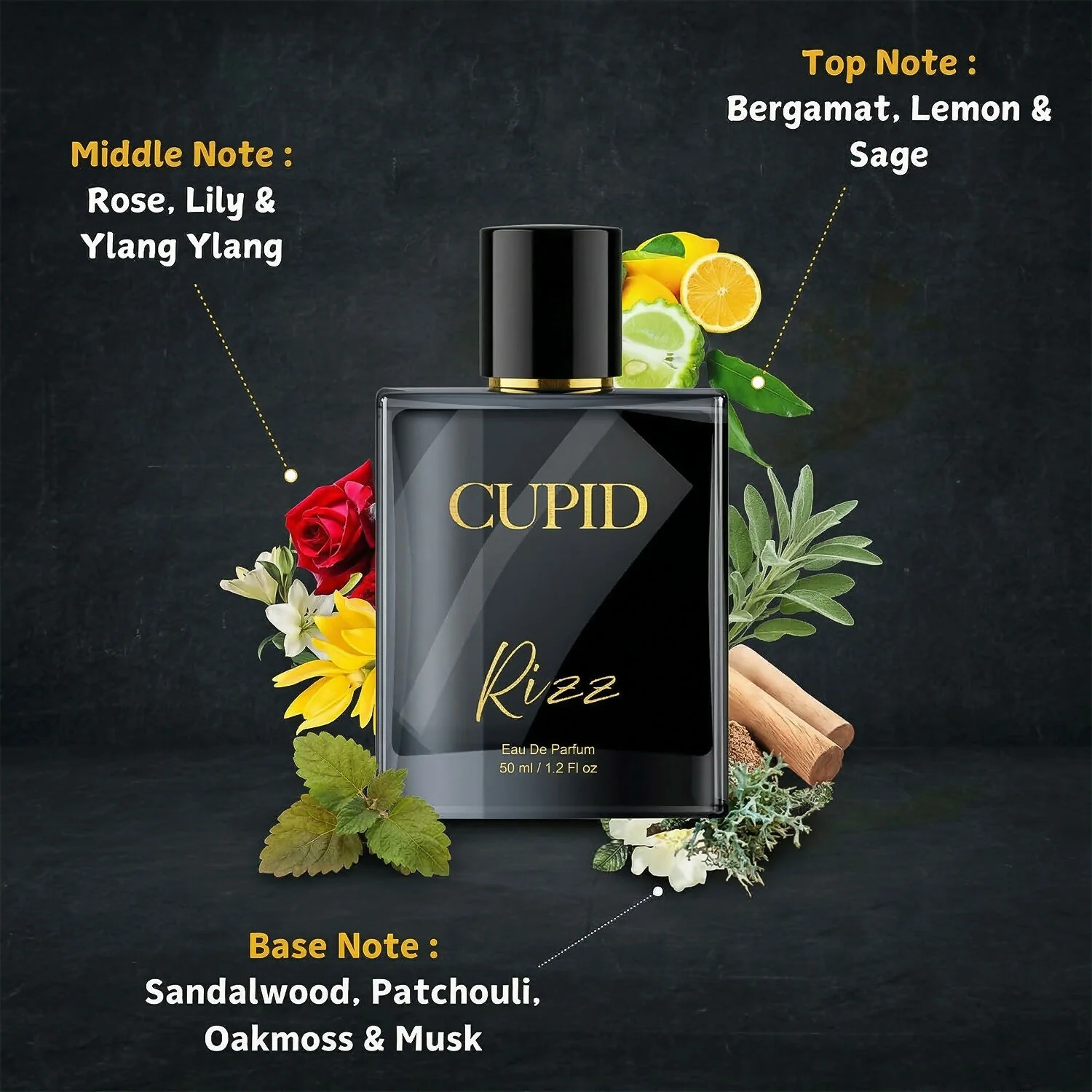 Men's Long-Lasting Citrus Woody Perfume – Fresh and Energetic Scent - Image 3