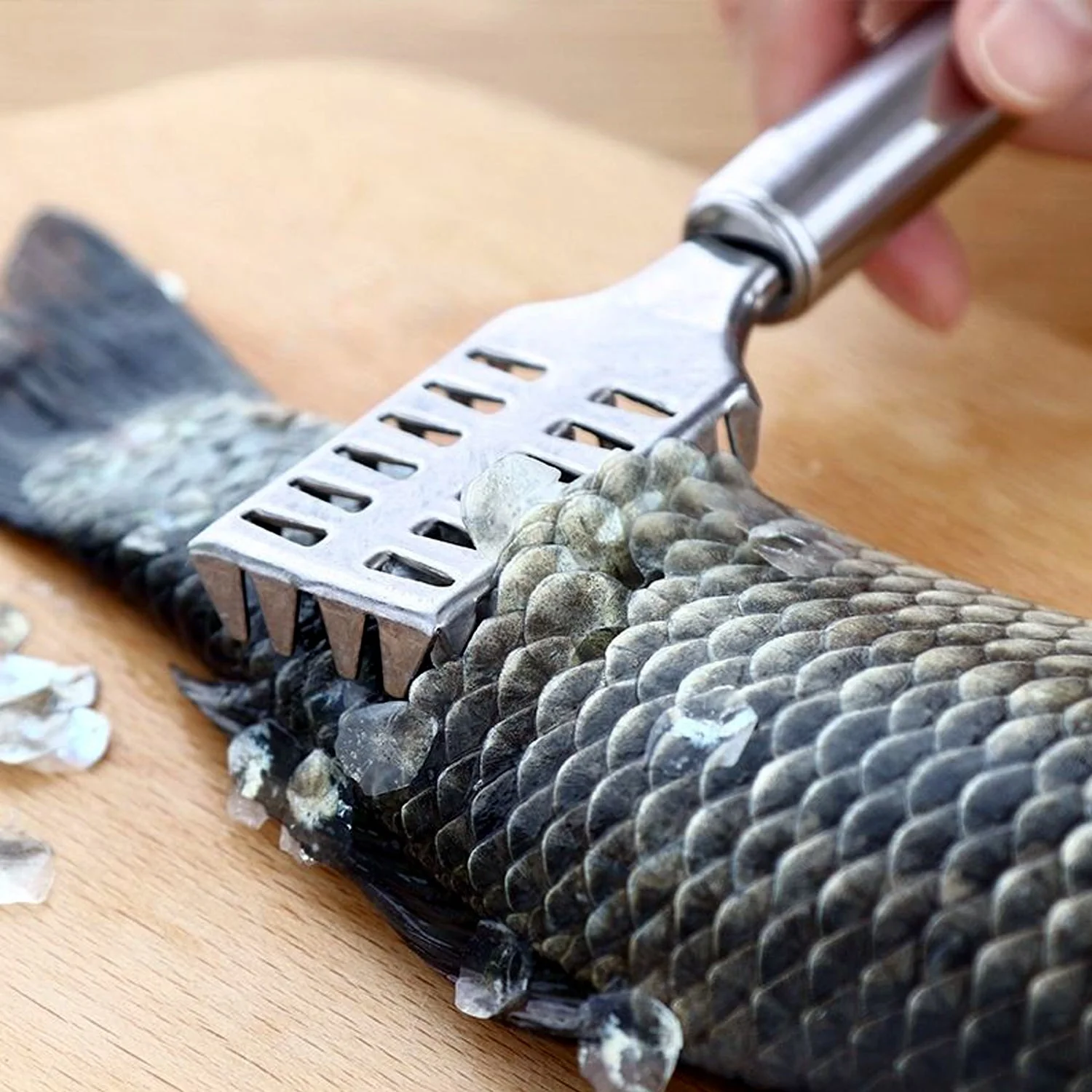 Fish Scale Remover – Sawtooth Stainless Steel Scraper | Quickslice - Image 6