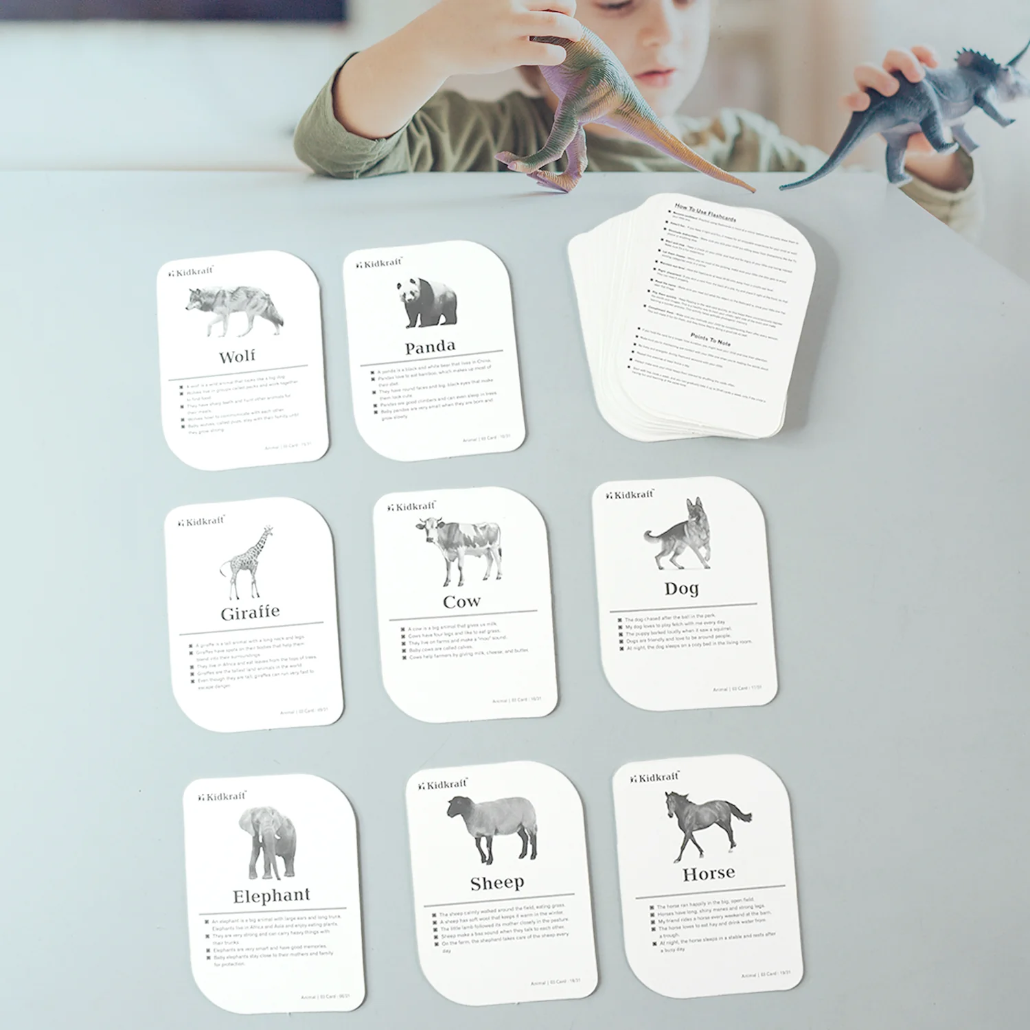 Animal Flash Cards – 32 Durable & Laminated Educational Cards - Image 4
