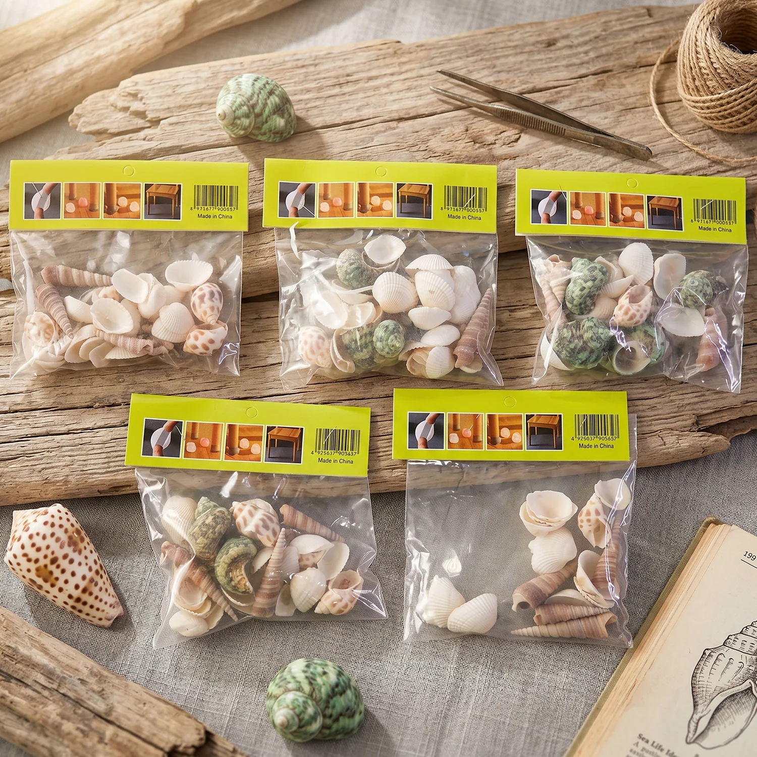 Natural Decorative Seashells Set – Coastal Charm for Home Decor - Image 8