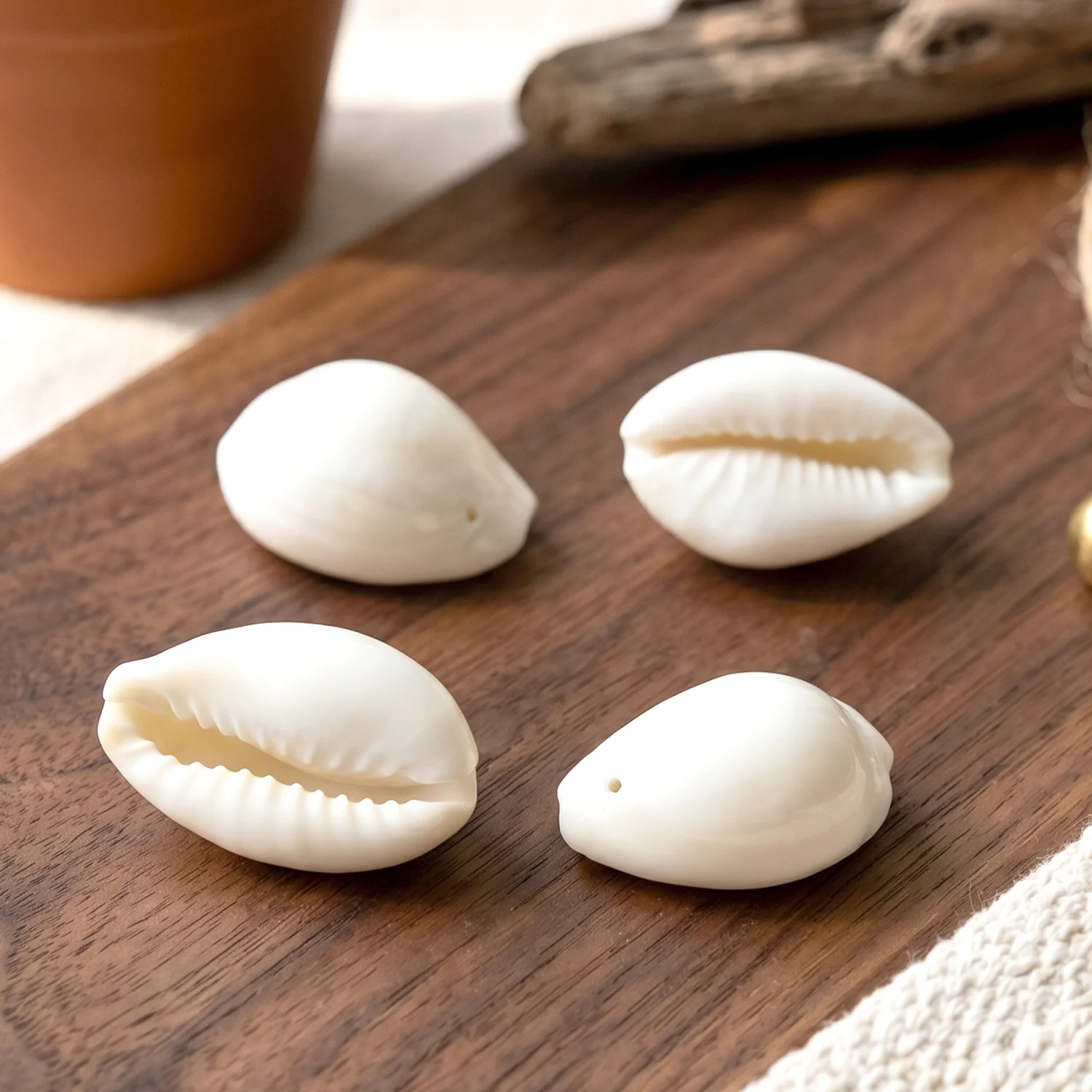 Natural Kaudi Cowrie Shells – Ideal for Pooja & Decor - Image 8
