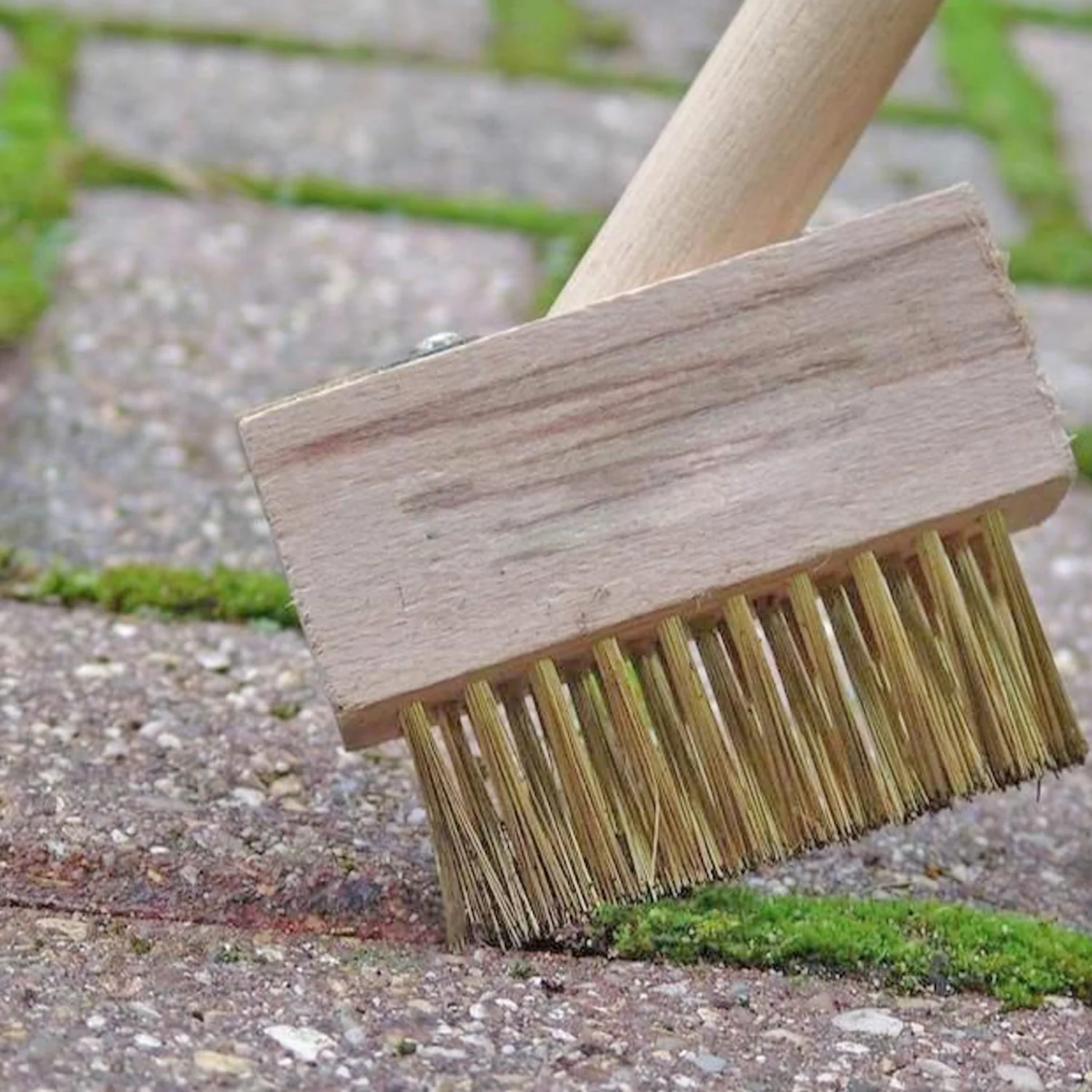 Paving Brush – Wooden Block Patio Weed Remover | ToolMate Pro - Image 3