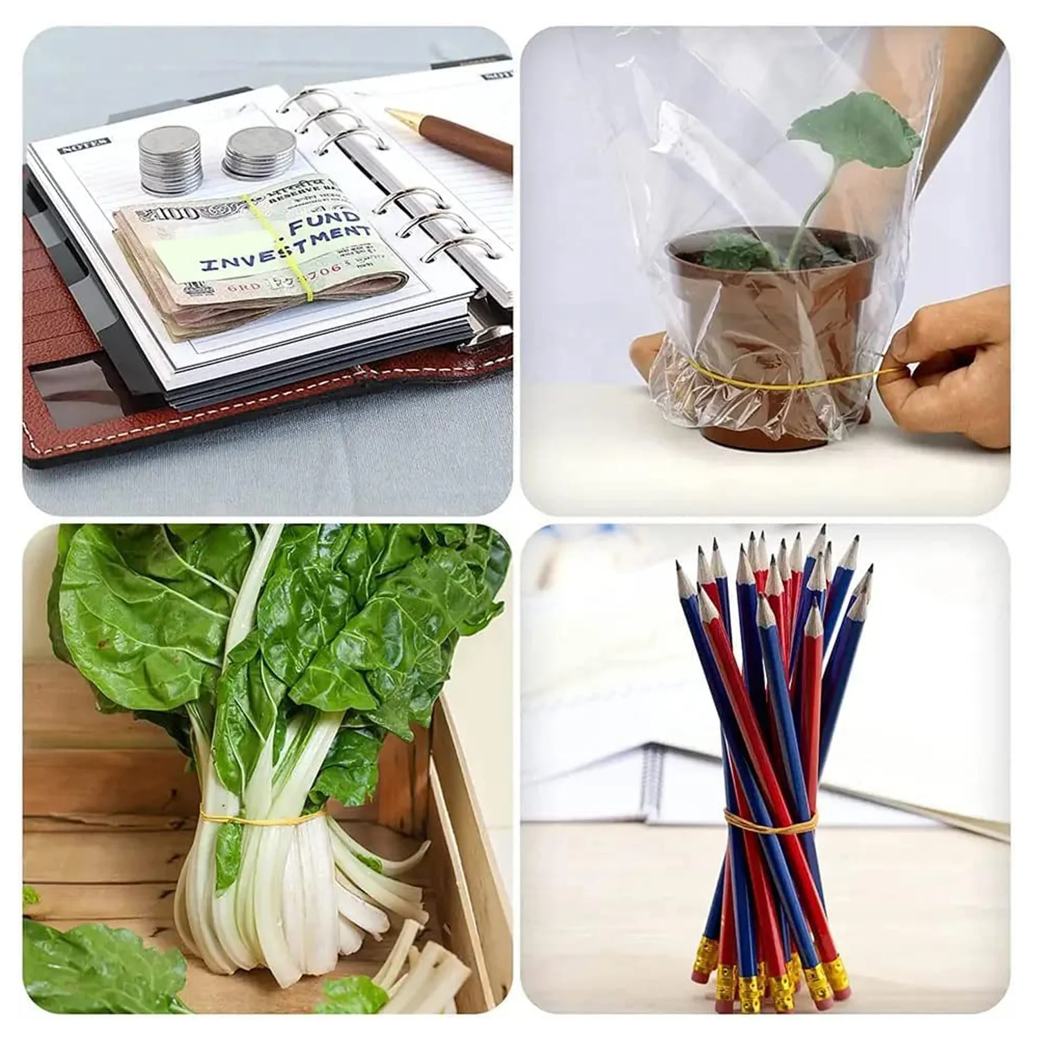 Multicolor Elastic Rubber Bands – Flexible & Reusable | Papezo - Image 5