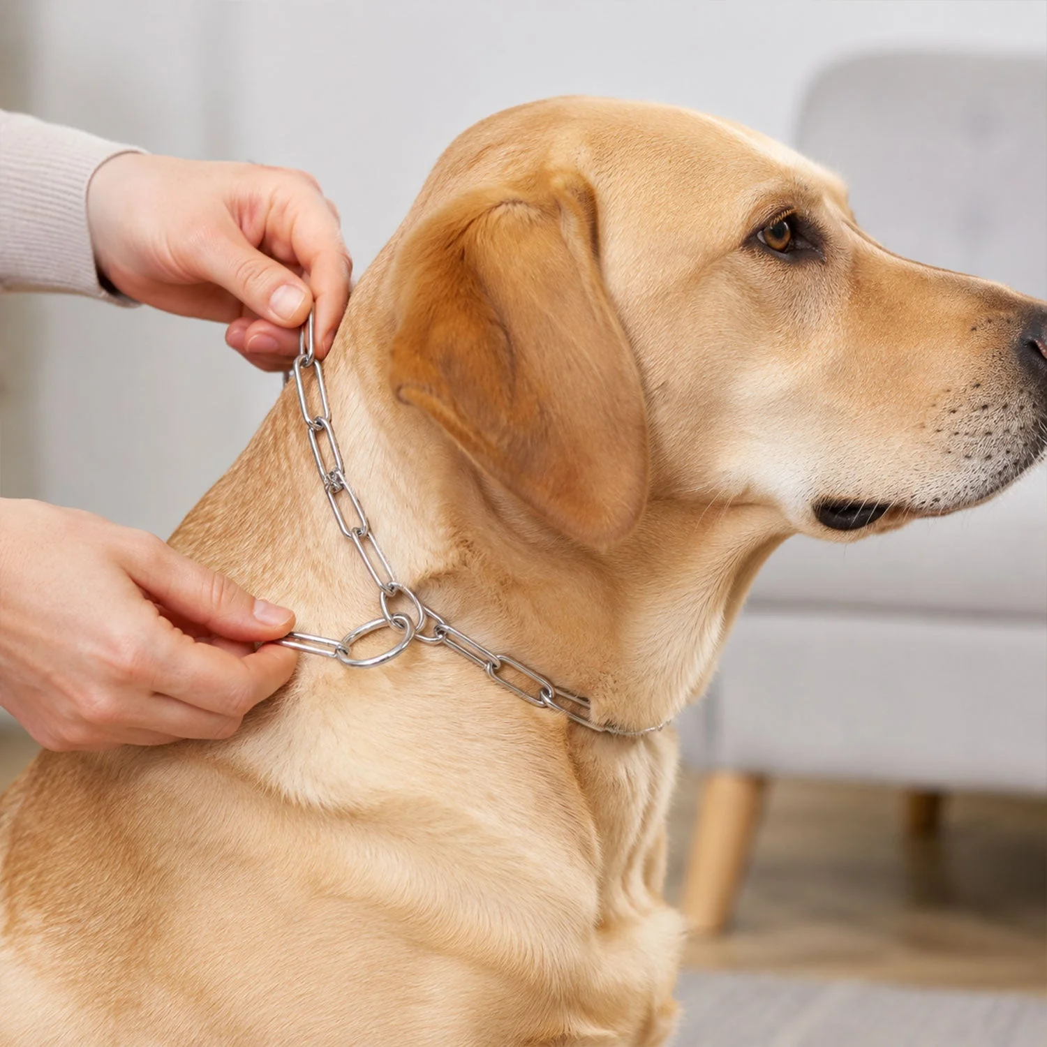 Heavy Duty Dog Chain Leash – Durable 67-inch Pet Tether for Control - Image 3